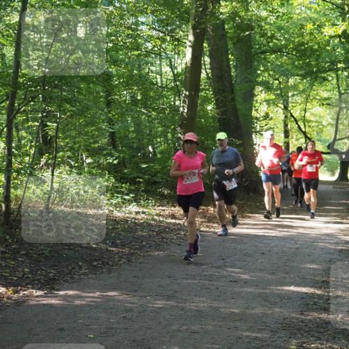 22.09.2024 - 32. Volkslauf durch das schöne Alstertal Miley Keyser http://msf.ph/oto/7135839 22.09.2024 10:44:43 Laufen  meine-sportfotos.de