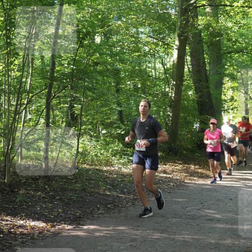 22.09.2024 - 32. Volkslauf durch das schöne Alstertal Miley Keyser http://msf.ph/oto/7135842 22.09.2024 10:44:41 Laufen  meine-sportfotos.de