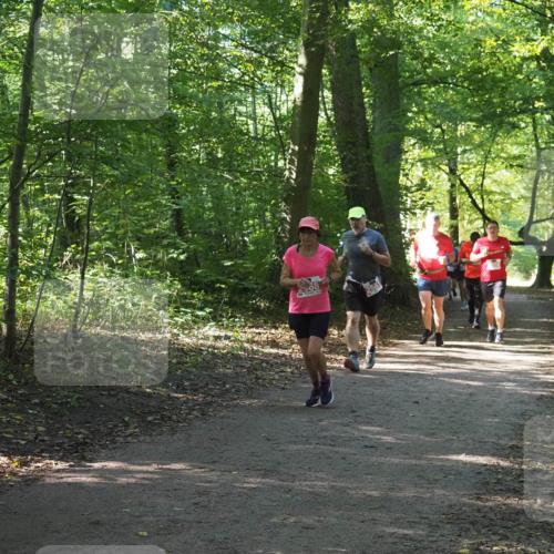 22.09.2024 - 32. Volkslauf durch das schöne Alstertal Miley Keyser http://msf.ph/oto/7135843 22.09.2024 10:44:43 Laufen 08, 2561 meine-sportfotos.de