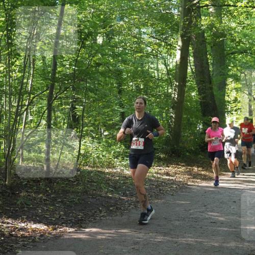 22.09.2024 - 32. Volkslauf durch das schöne Alstertal Miley Keyser http://msf.ph/oto/7135844 22.09.2024 10:44:42 Laufen 2968, 2519 meine-sportfotos.de