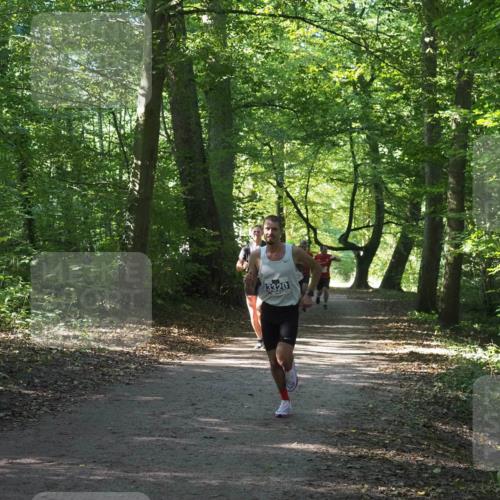 22.09.2024 - 32. Volkslauf durch das schöne Alstertal Miley Keyser http://msf.ph/oto/7135849 22.09.2024 10:44:39 Laufen 3320 meine-sportfotos.de