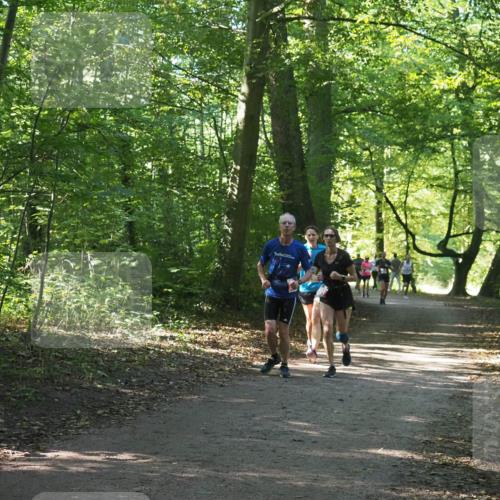 22.09.2024 - 32. Volkslauf durch das schöne Alstertal Miley Keyser http://msf.ph/oto/7135859 22.09.2024 10:44:30 Laufen  meine-sportfotos.de