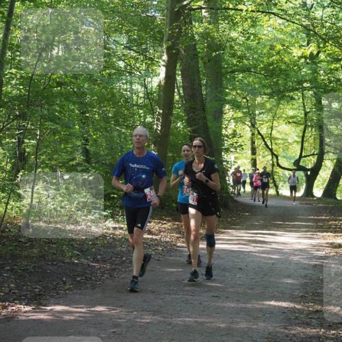 22.09.2024 - 32. Volkslauf durch das schöne Alstertal Miley Keyser http://msf.ph/oto/7135862 22.09.2024 10:44:32 Laufen  meine-sportfotos.de