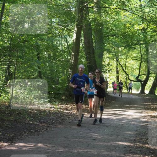 22.09.2024 - 32. Volkslauf durch das schöne Alstertal Miley Keyser http://msf.ph/oto/7135863 22.09.2024 10:44:31 Laufen 2499 meine-sportfotos.de