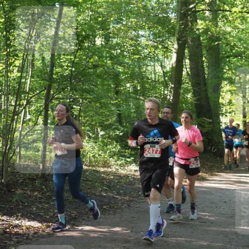 22.09.2024 - 32. Volkslauf durch das schöne Alstertal Miley Keyser http://msf.ph/oto/7135869 22.09.2024 10:44:28 Laufen 2477, 254 meine-sportfotos.de
