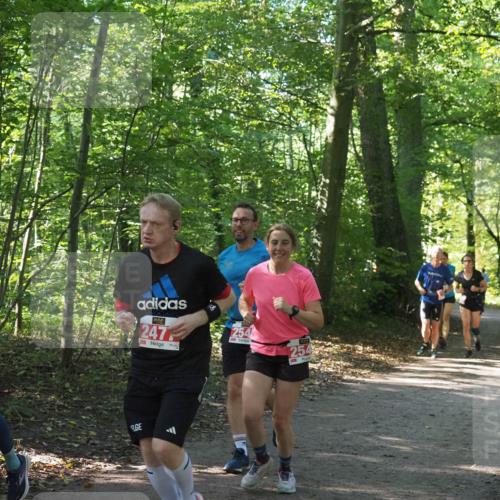 22.09.2024 - 32. Volkslauf durch das schöne Alstertal Miley Keyser http://msf.ph/oto/7135870 22.09.2024 10:44:28 Laufen 247, 254, 254 meine-sportfotos.de