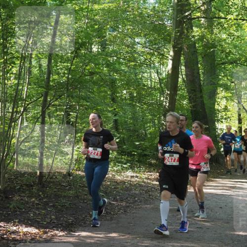 22.09.2024 - 32. Volkslauf durch das schöne Alstertal Miley Keyser http://msf.ph/oto/7135873 22.09.2024 10:44:27 Laufen 2271, 2477 meine-sportfotos.de