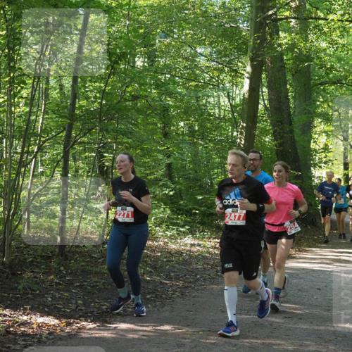 22.09.2024 - 32. Volkslauf durch das schöne Alstertal Miley Keyser http://msf.ph/oto/7135874 22.09.2024 10:44:27 Laufen 2271, 2477 meine-sportfotos.de