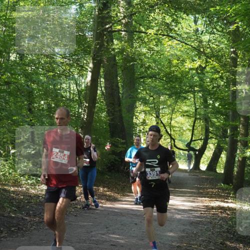 22.09.2024 - 32. Volkslauf durch das schöne Alstertal Miley Keyser http://msf.ph/oto/7135882 22.09.2024 10:44:26 Laufen 2454, 271, 3391 meine-sportfotos.de