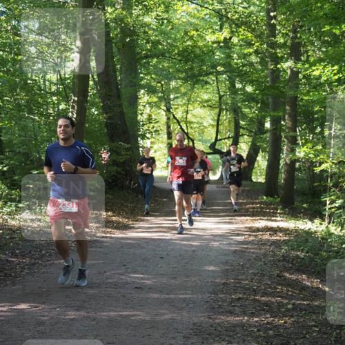 22.09.2024 - 32. Volkslauf durch das schöne Alstertal Miley Keyser http://msf.ph/oto/7135883 22.09.2024 10:44:23 Laufen 2331, 2454, 2477 meine-sportfotos.de