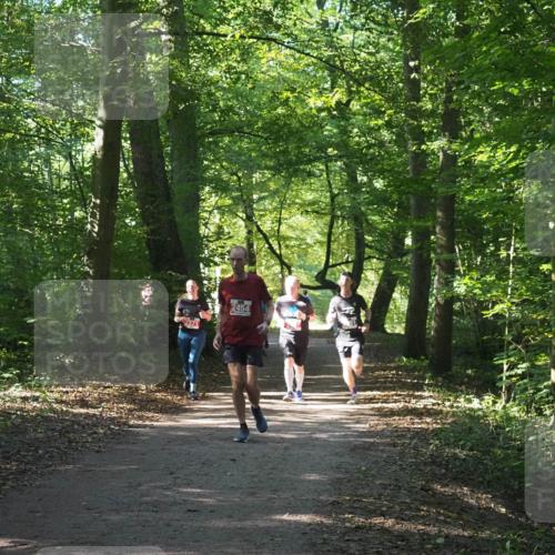 22.09.2024 - 32. Volkslauf durch das schöne Alstertal Miley Keyser http://msf.ph/oto/7135884 22.09.2024 10:44:24 Laufen 2331, 2454 meine-sportfotos.de