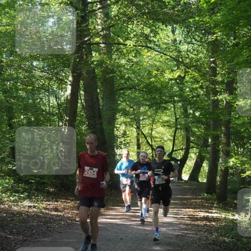 22.09.2024 - 32. Volkslauf durch das schöne Alstertal Miley Keyser http://msf.ph/oto/7135886 22.09.2024 10:44:25 Laufen 2454, 247 meine-sportfotos.de