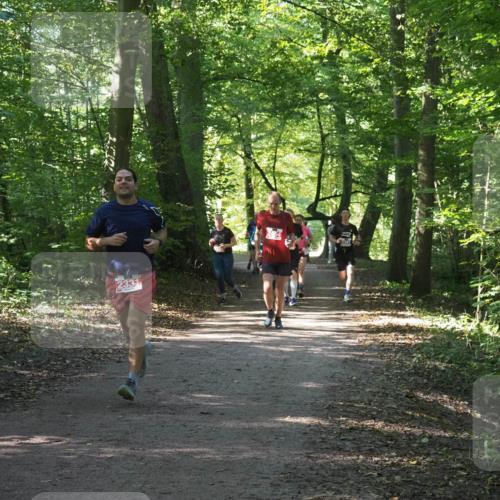 22.09.2024 - 32. Volkslauf durch das schöne Alstertal Miley Keyser http://msf.ph/oto/7135888 22.09.2024 10:44:23 Laufen 2331 meine-sportfotos.de