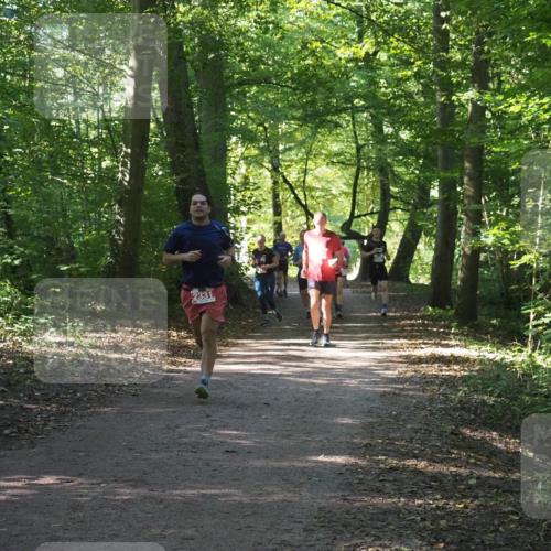 22.09.2024 - 32. Volkslauf durch das schöne Alstertal Miley Keyser http://msf.ph/oto/7135892 22.09.2024 10:44:22 Laufen 2331 meine-sportfotos.de
