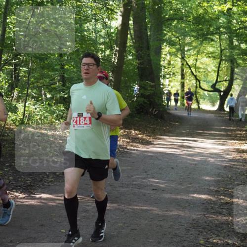 22.09.2024 - 32. Volkslauf durch das schöne Alstertal Miley Keyser http://msf.ph/oto/7135896 22.09.2024 10:44:13 Laufen 2314, 2184 meine-sportfotos.de