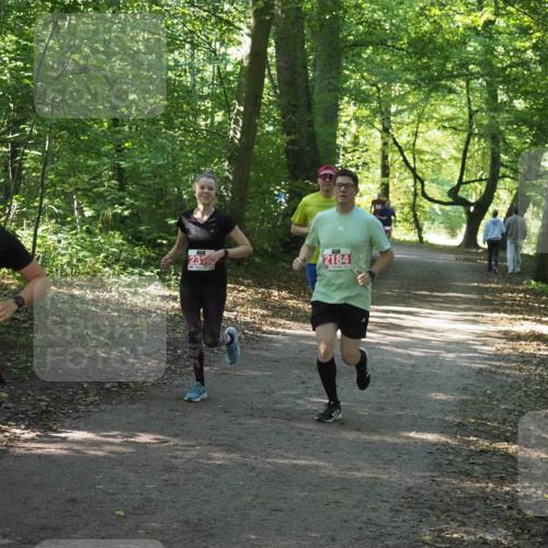22.09.2024 - 32. Volkslauf durch das schöne Alstertal Miley Keyser http://msf.ph/oto/7135899 22.09.2024 10:44:11 Laufen 2947, 2184 meine-sportfotos.de