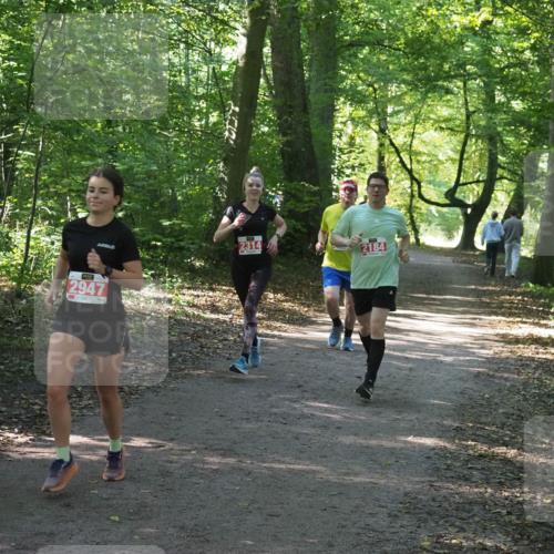 22.09.2024 - 32. Volkslauf durch das schöne Alstertal Miley Keyser http://msf.ph/oto/7135902 22.09.2024 10:44:11 Laufen 2947, 2314, 2184 meine-sportfotos.de