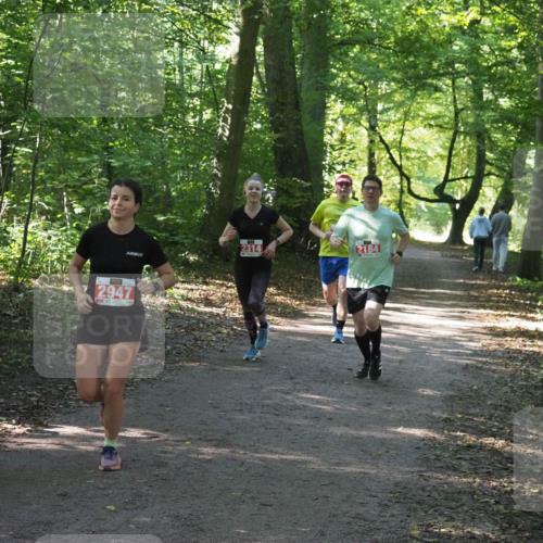 22.09.2024 - 32. Volkslauf durch das schöne Alstertal Miley Keyser http://msf.ph/oto/7135906 22.09.2024 10:44:11 Laufen 2314, 2947, 2184 meine-sportfotos.de