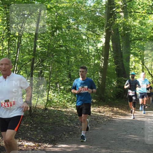 22.09.2024 - 32. Volkslauf durch das schöne Alstertal Miley Keyser http://msf.ph/oto/7135914 22.09.2024 10:44:06 Laufen 2411, 2417, 973 meine-sportfotos.de