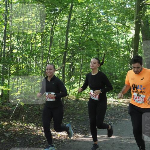 22.09.2024 - 32. Volkslauf durch das schöne Alstertal Miley Keyser http://msf.ph/oto/7135930 22.09.2024 10:43:53 Laufen 42, 2346 meine-sportfotos.de