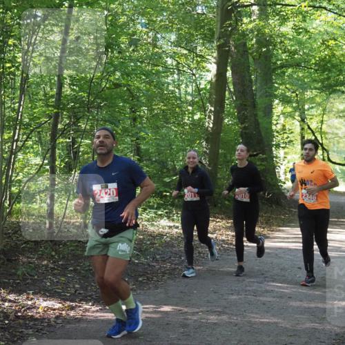 22.09.2024 - 32. Volkslauf durch das schöne Alstertal Miley Keyser http://msf.ph/oto/7135937 22.09.2024 10:43:52 Laufen 2420, 2011, 10, 2346 meine-sportfotos.de