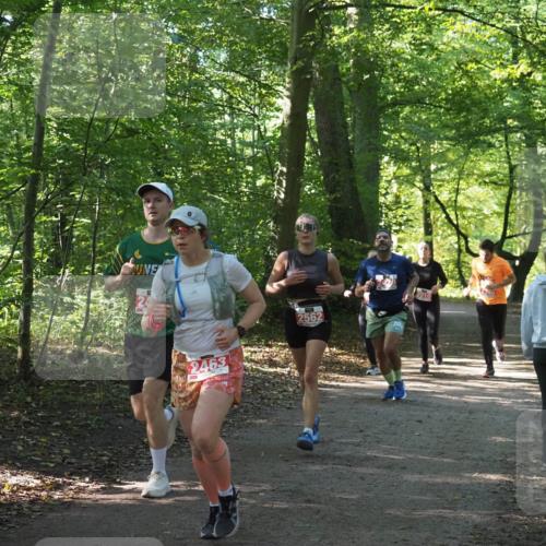 22.09.2024 - 32. Volkslauf durch das schöne Alstertal Miley Keyser http://msf.ph/oto/7135945 22.09.2024 10:43:50 Laufen 2463, 2562, 2010 meine-sportfotos.de