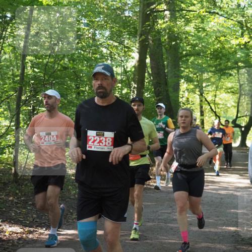 22.09.2024 - 32. Volkslauf durch das schöne Alstertal Miley Keyser http://msf.ph/oto/7135948 22.09.2024 10:43:48 Laufen 2404, 2238 meine-sportfotos.de