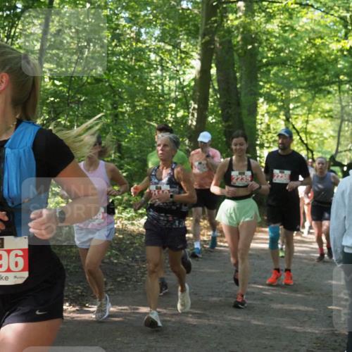 22.09.2024 - 32. Volkslauf durch das schöne Alstertal Miley Keyser http://msf.ph/oto/7135955 22.09.2024 10:43:46 Laufen 2096, 2235 meine-sportfotos.de