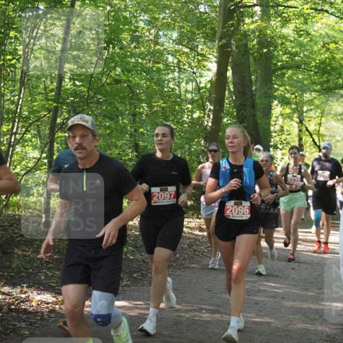 22.09.2024 - 32. Volkslauf durch das schöne Alstertal Miley Keyser http://msf.ph/oto/7135959 22.09.2024 10:43:44 Laufen 6, 2097, 2096 meine-sportfotos.de