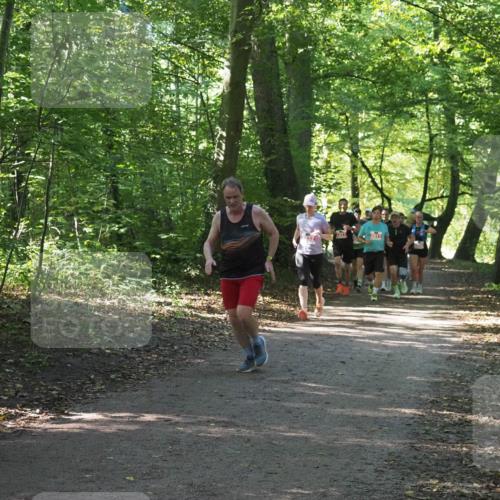 22.09.2024 - 32. Volkslauf durch das schöne Alstertal Miley Keyser http://msf.ph/oto/7135963 22.09.2024 10:43:38 Laufen  meine-sportfotos.de