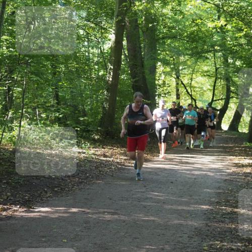 22.09.2024 - 32. Volkslauf durch das schöne Alstertal Miley Keyser http://msf.ph/oto/7135965 22.09.2024 10:43:38 Laufen 2032, 550 meine-sportfotos.de