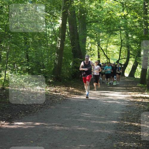 22.09.2024 - 32. Volkslauf durch das schöne Alstertal Miley Keyser http://msf.ph/oto/7135970 22.09.2024 10:43:37 Laufen  meine-sportfotos.de