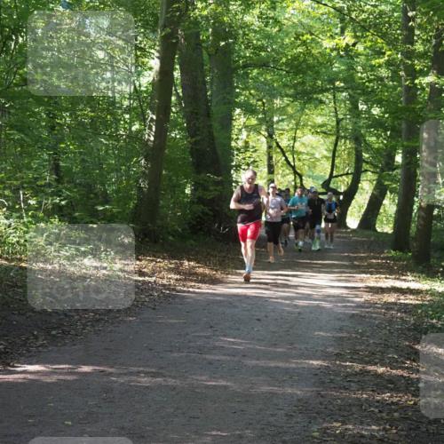 22.09.2024 - 32. Volkslauf durch das schöne Alstertal Miley Keyser http://msf.ph/oto/7135971 22.09.2024 10:43:36 Laufen  meine-sportfotos.de