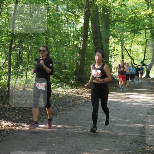 22.09.2024 - 32. Volkslauf durch das schöne Alstertal Miley Keyser http://msf.ph/oto/7135974 22.09.2024 10:43:35 Laufen 2168, 2412 meine-sportfotos.de
