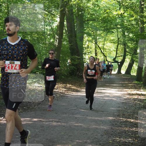22.09.2024 - 32. Volkslauf durch das schöne Alstertal Miley Keyser http://msf.ph/oto/7135978 22.09.2024 10:43:34 Laufen 2174, 2168, 2412 meine-sportfotos.de