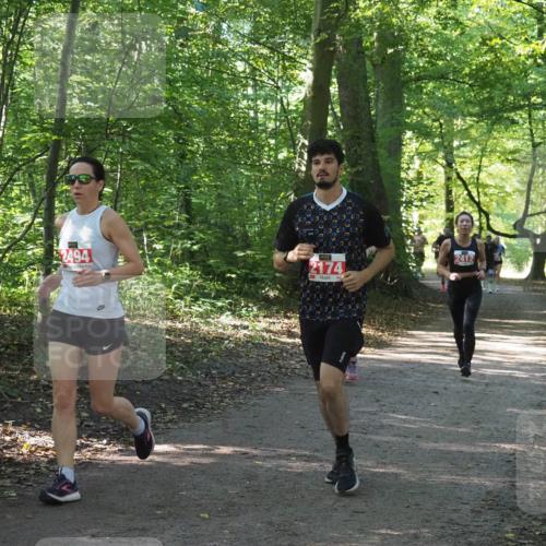 22.09.2024 - 32. Volkslauf durch das schöne Alstertal Miley Keyser http://msf.ph/oto/7135979 22.09.2024 10:43:33 Laufen 2494, 2174, 2412 meine-sportfotos.de