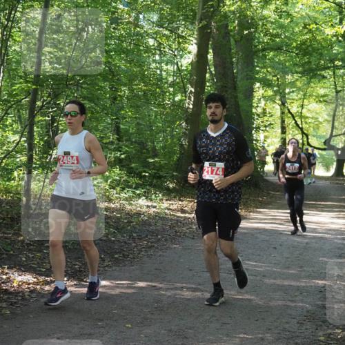 22.09.2024 - 32. Volkslauf durch das schöne Alstertal Miley Keyser http://msf.ph/oto/7135980 22.09.2024 10:43:33 Laufen 2494, 2174, 2412 meine-sportfotos.de