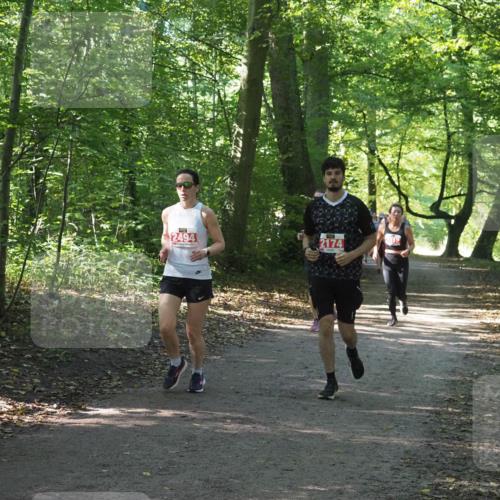 22.09.2024 - 32. Volkslauf durch das schöne Alstertal Miley Keyser http://msf.ph/oto/7135982 22.09.2024 10:43:32 Laufen 2494, 2174 meine-sportfotos.de