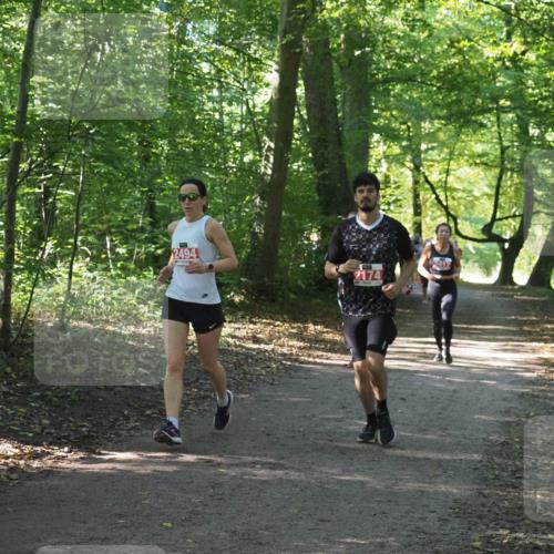 22.09.2024 - 32. Volkslauf durch das schöne Alstertal Miley Keyser http://msf.ph/oto/7135983 22.09.2024 10:43:32 Laufen 2494, 2174 meine-sportfotos.de