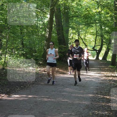 22.09.2024 - 32. Volkslauf durch das schöne Alstertal Miley Keyser http://msf.ph/oto/7135984 22.09.2024 10:43:32 Laufen 2494, 2174 meine-sportfotos.de