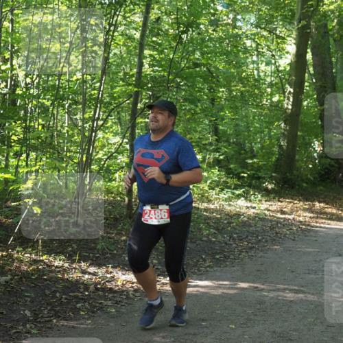 22.09.2024 - 32. Volkslauf durch das schöne Alstertal Miley Keyser http://msf.ph/oto/7135989 22.09.2024 10:43:30 Laufen 2486 meine-sportfotos.de