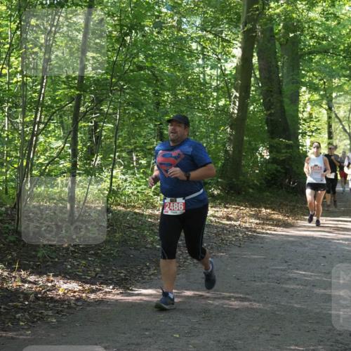 22.09.2024 - 32. Volkslauf durch das schöne Alstertal Miley Keyser http://msf.ph/oto/7135991 22.09.2024 10:43:29 Laufen 2486, 2494 meine-sportfotos.de
