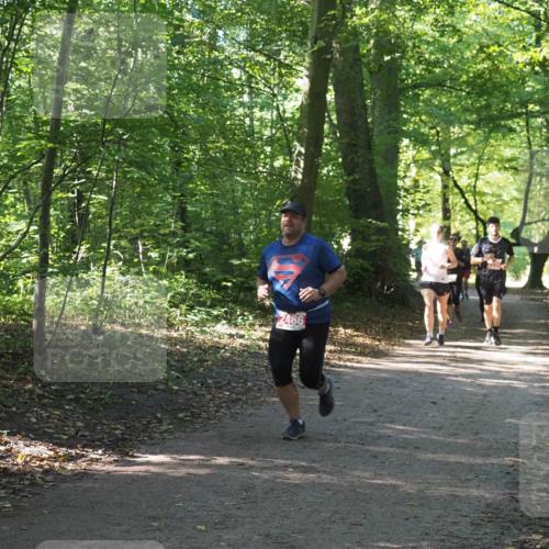 22.09.2024 - 32. Volkslauf durch das schöne Alstertal Miley Keyser http://msf.ph/oto/7135992 22.09.2024 10:43:29 Laufen 2486 meine-sportfotos.de
