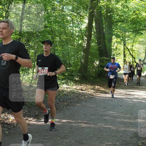 22.09.2024 - 32. Volkslauf durch das schöne Alstertal Miley Keyser http://msf.ph/oto/7135996 22.09.2024 10:43:27 Laufen 2445 meine-sportfotos.de