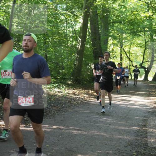 22.09.2024 - 32. Volkslauf durch das schöne Alstertal Miley Keyser http://msf.ph/oto/7135999 22.09.2024 10:43:25 Laufen 2459, 3, 2424 meine-sportfotos.de