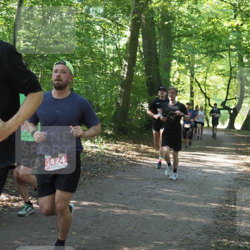 22.09.2024 - 32. Volkslauf durch das schöne Alstertal Miley Keyser http://msf.ph/oto/7136002 22.09.2024 10:43:25 Laufen 539, 2424 meine-sportfotos.de