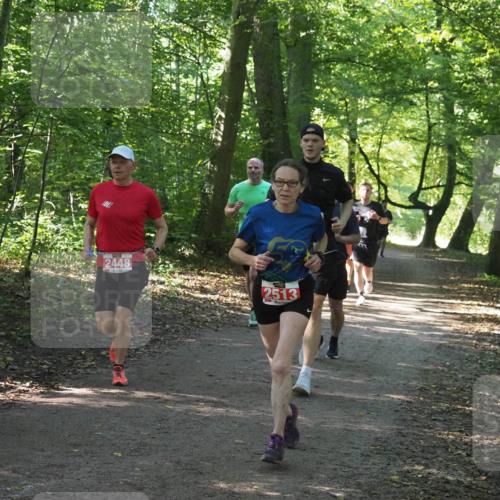 22.09.2024 - 32. Volkslauf durch das schöne Alstertal Miley Keyser http://msf.ph/oto/7136005 22.09.2024 10:43:23 Laufen 56, 2448, 2513 meine-sportfotos.de