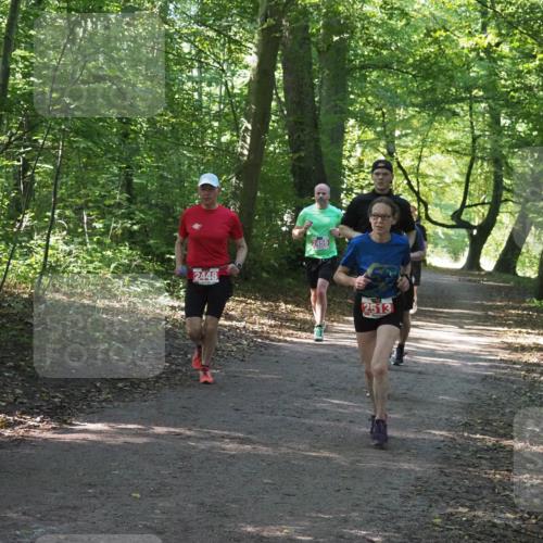 22.09.2024 - 32. Volkslauf durch das schöne Alstertal Miley Keyser http://msf.ph/oto/7136009 22.09.2024 10:43:22 Laufen 2448, 2459, 56, 2513 meine-sportfotos.de
