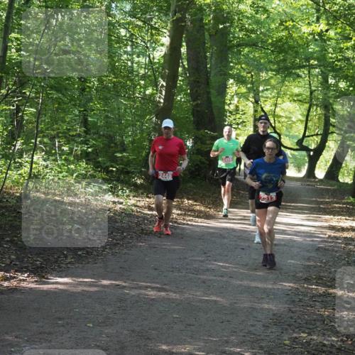22.09.2024 - 32. Volkslauf durch das schöne Alstertal Miley Keyser http://msf.ph/oto/7136010 22.09.2024 10:43:21 Laufen 2448, 2459, 2513 meine-sportfotos.de