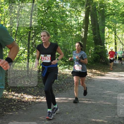 22.09.2024 - 32. Volkslauf durch das schöne Alstertal Miley Keyser http://msf.ph/oto/7136015 22.09.2024 10:43:18 Laufen 52, 2293, 2039 meine-sportfotos.de